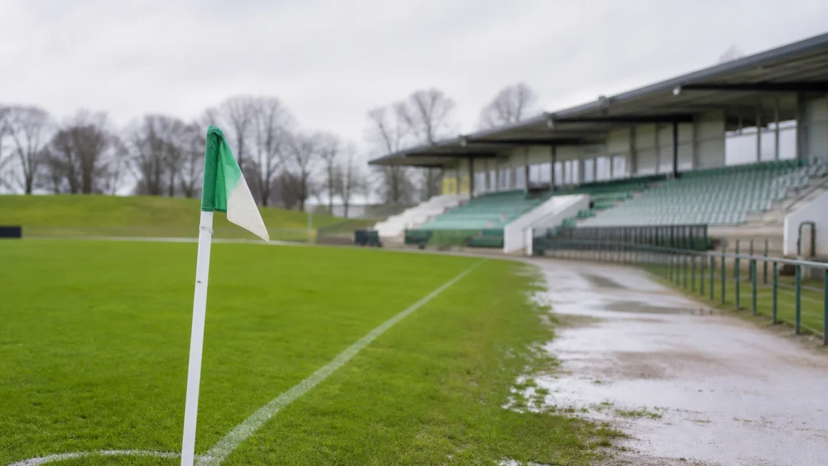 Manzambi målskytt när Schweiz säkrade gruppsegern